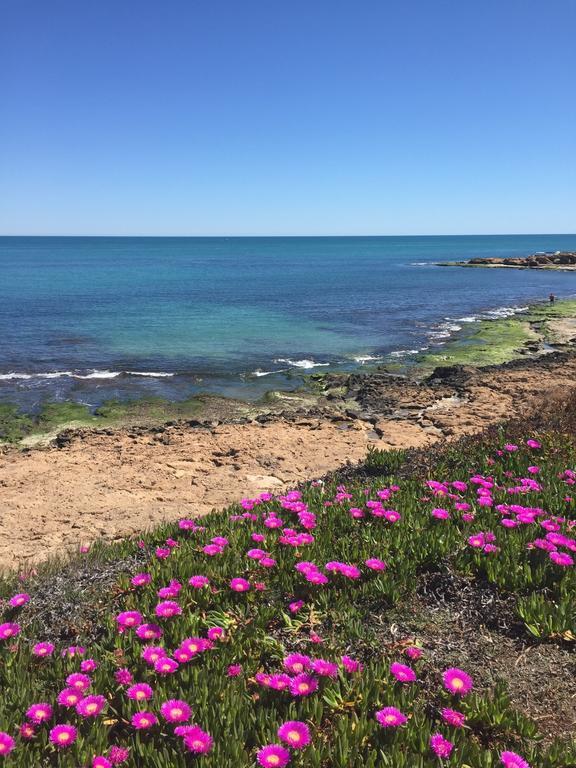 Apartment Altos De La Bahia X Torrevieja Dış mekan fotoğraf