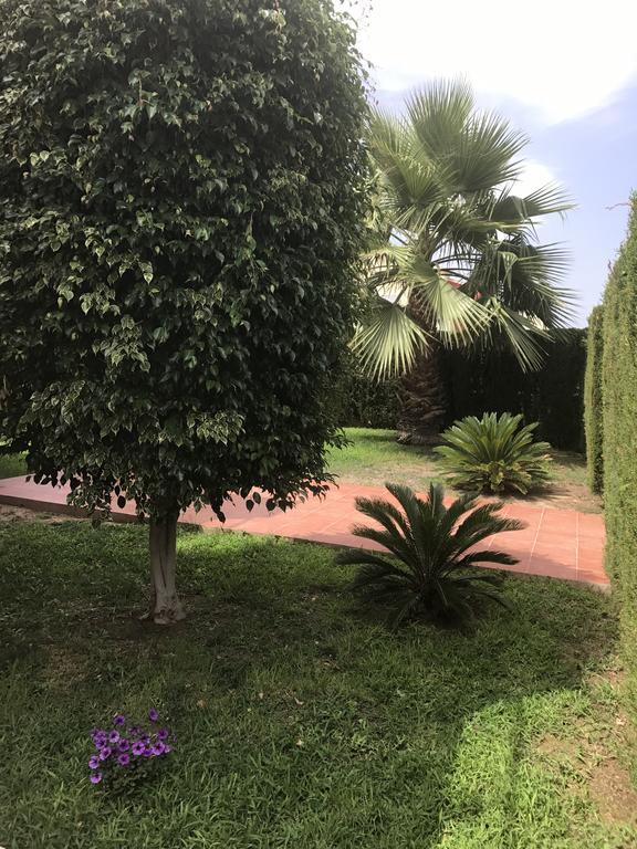 Apartment Altos De La Bahia X Torrevieja Dış mekan fotoğraf