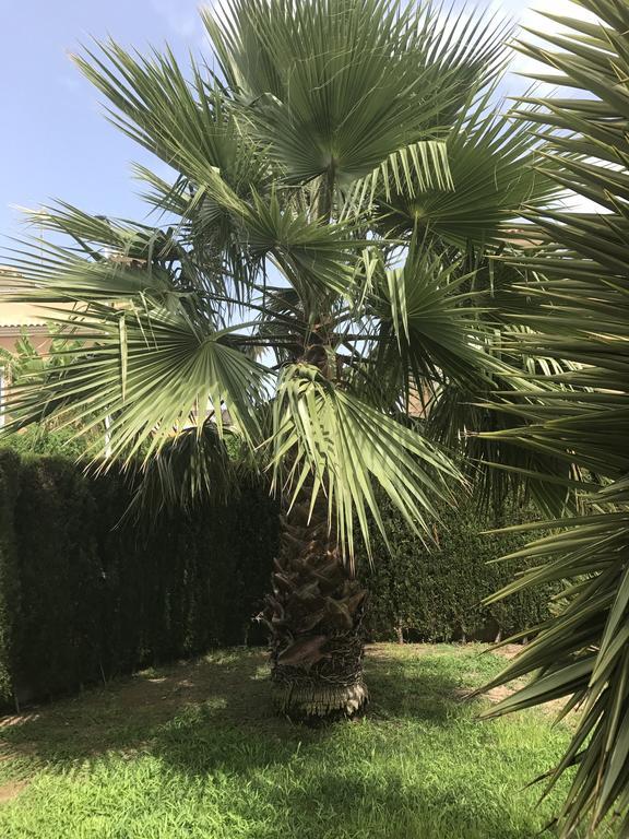 Apartment Altos De La Bahia X Torrevieja Dış mekan fotoğraf